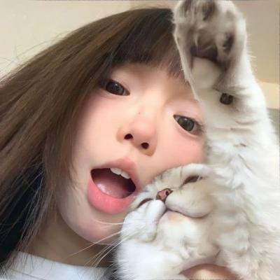 手机人生